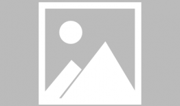 宠物短视频,短视频里的欢乐时光